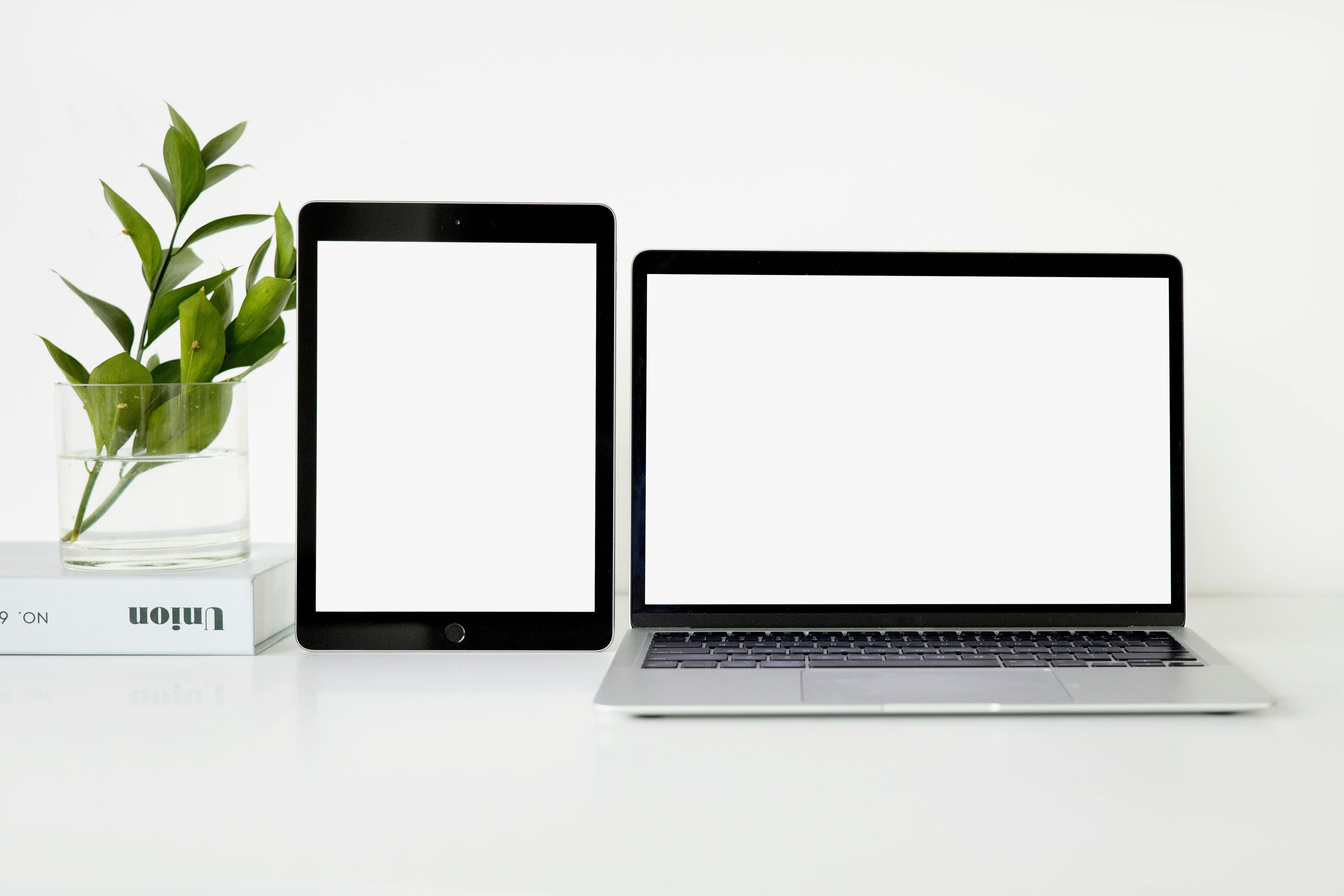 Softwares de Productividad y Desarrollo Personal